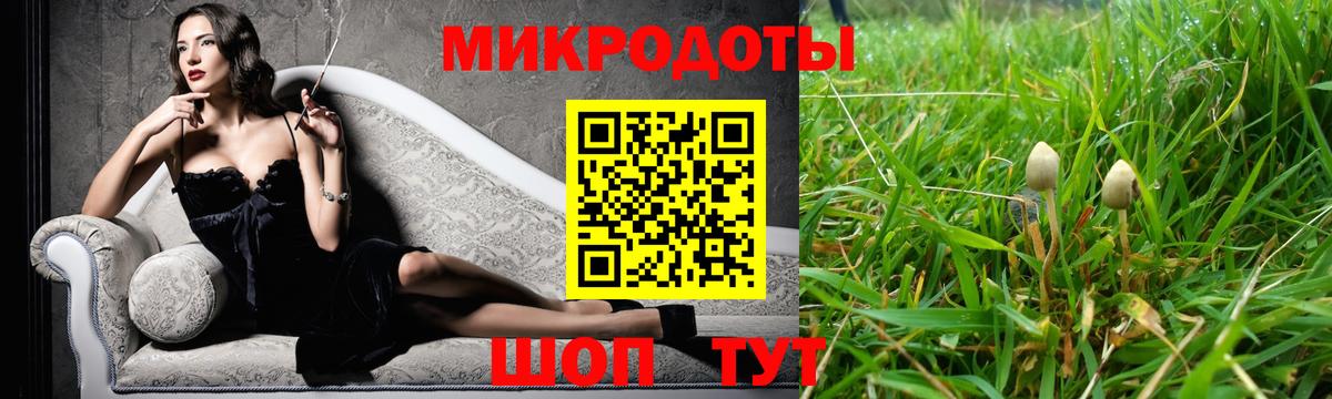 Галлюциногенные грибы Cubensis  Вход с VPN  Санкт-Петербург 